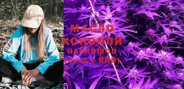 молекула духа Михайлов