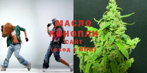 молекула духа Михайлов