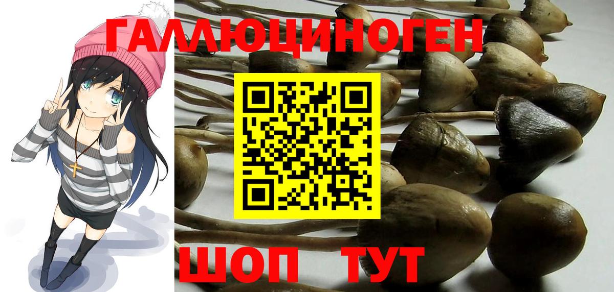 Псилоцибиновые грибы ЛСД  Галлюциногенные грибы мицелий  Вход с VPN  Клинцы 
